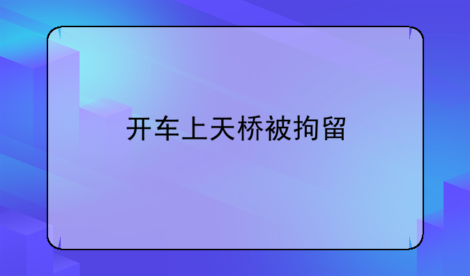 开车上天桥被拘留